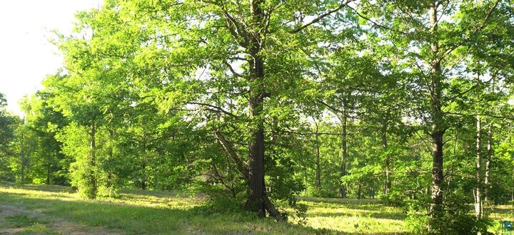 Property Photo:  83xxx Ashwabay Heights Rd  WI 54814 