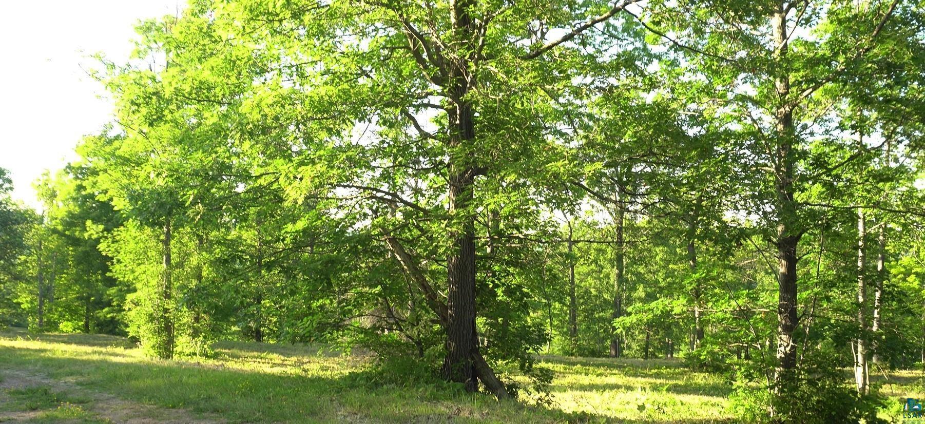 Property Photo: 83xxx Ashwabay Heights Rd Lot 6 WI 54814