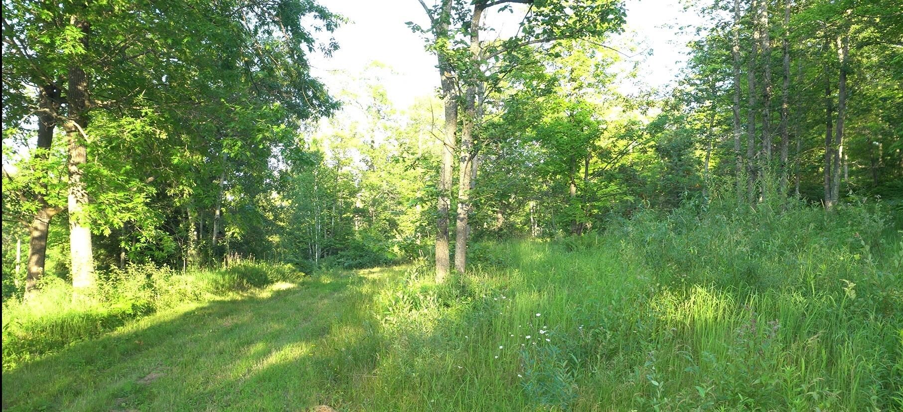 Property Photo: 83xxx Ashwabay Heights Rd Lot 7 WI 54814