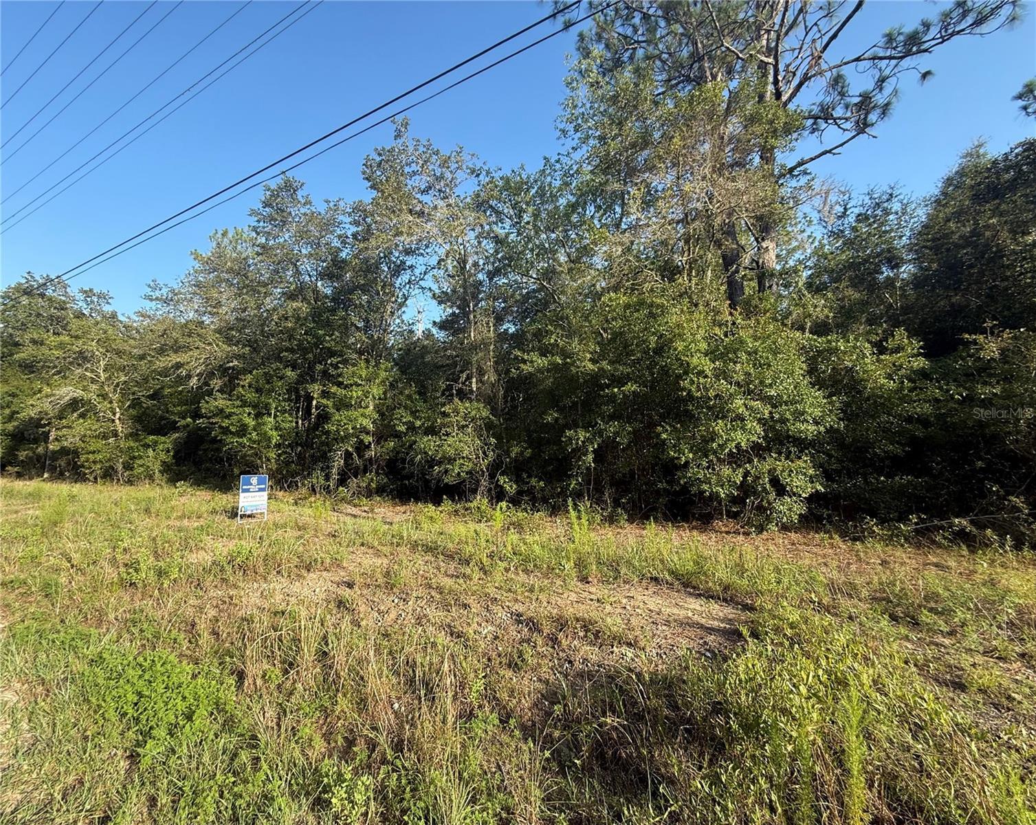 Property Photo: SW Sea Cliff Avenue FL 34431