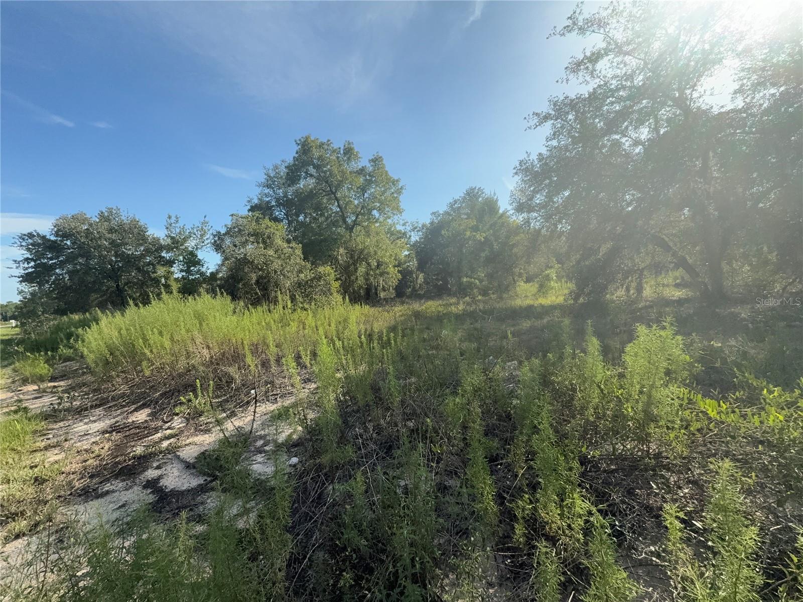 Property Photo: SW Big Bear Ridge FL 34431
