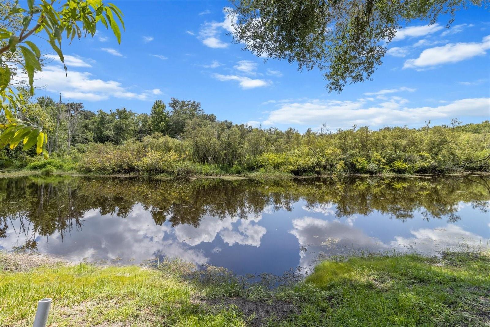 Property Photo: 11770 E Warmouth Court FL 34436