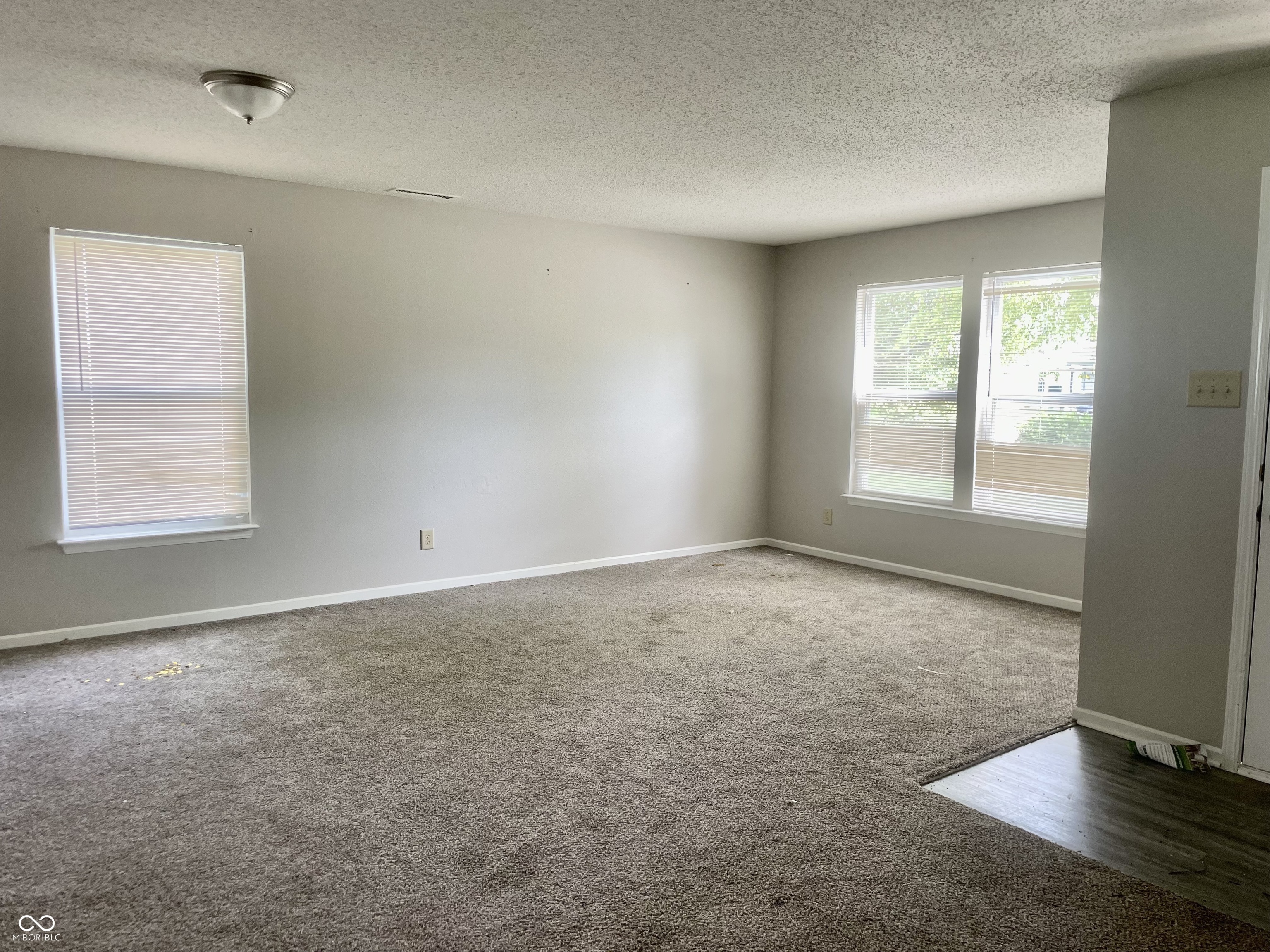 Property Photo: 1380 King Maple Drive IN 46140