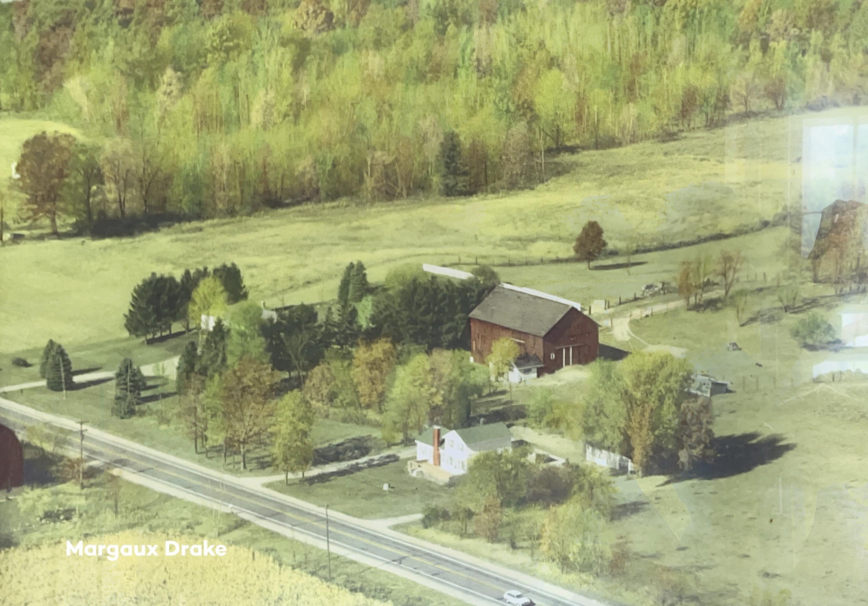 Property Photo: 5295 Belding Road NE MI 49341