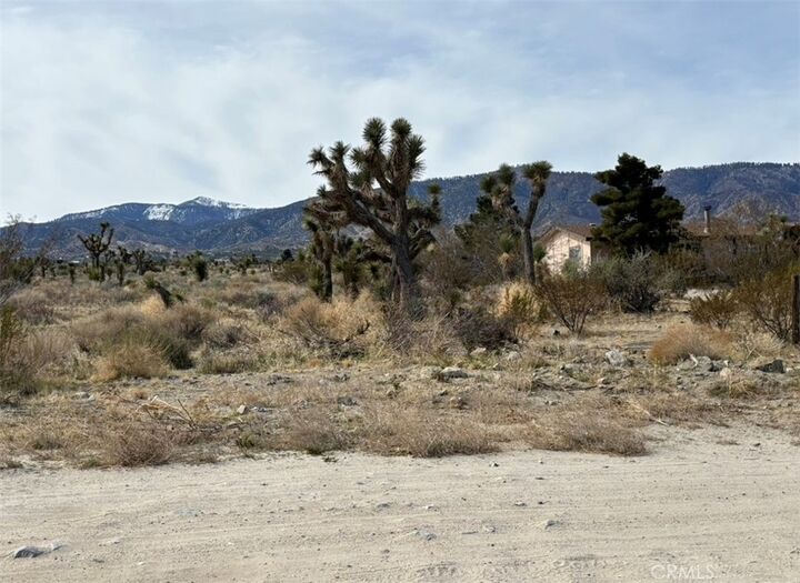 Property Photo: 0 Mono Road CA 92372