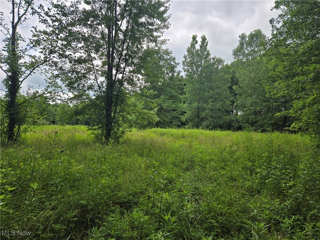 Property Photo: Vl Parsons Road OH 44044