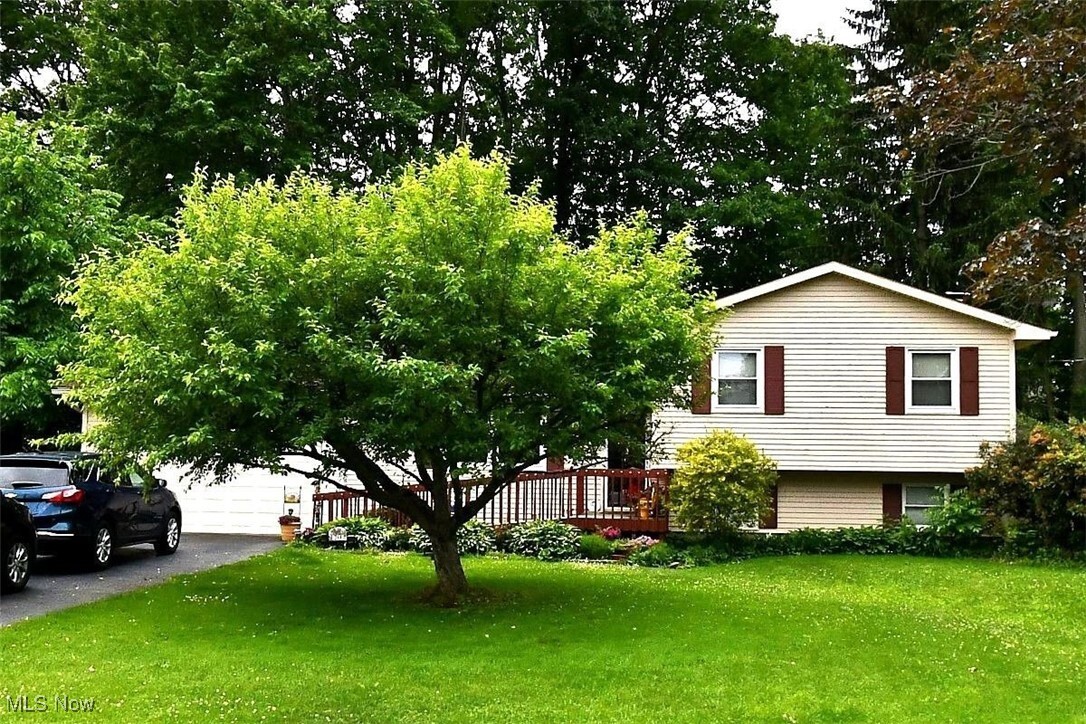 244 Natale Drive  Cortland OH 44410 photo