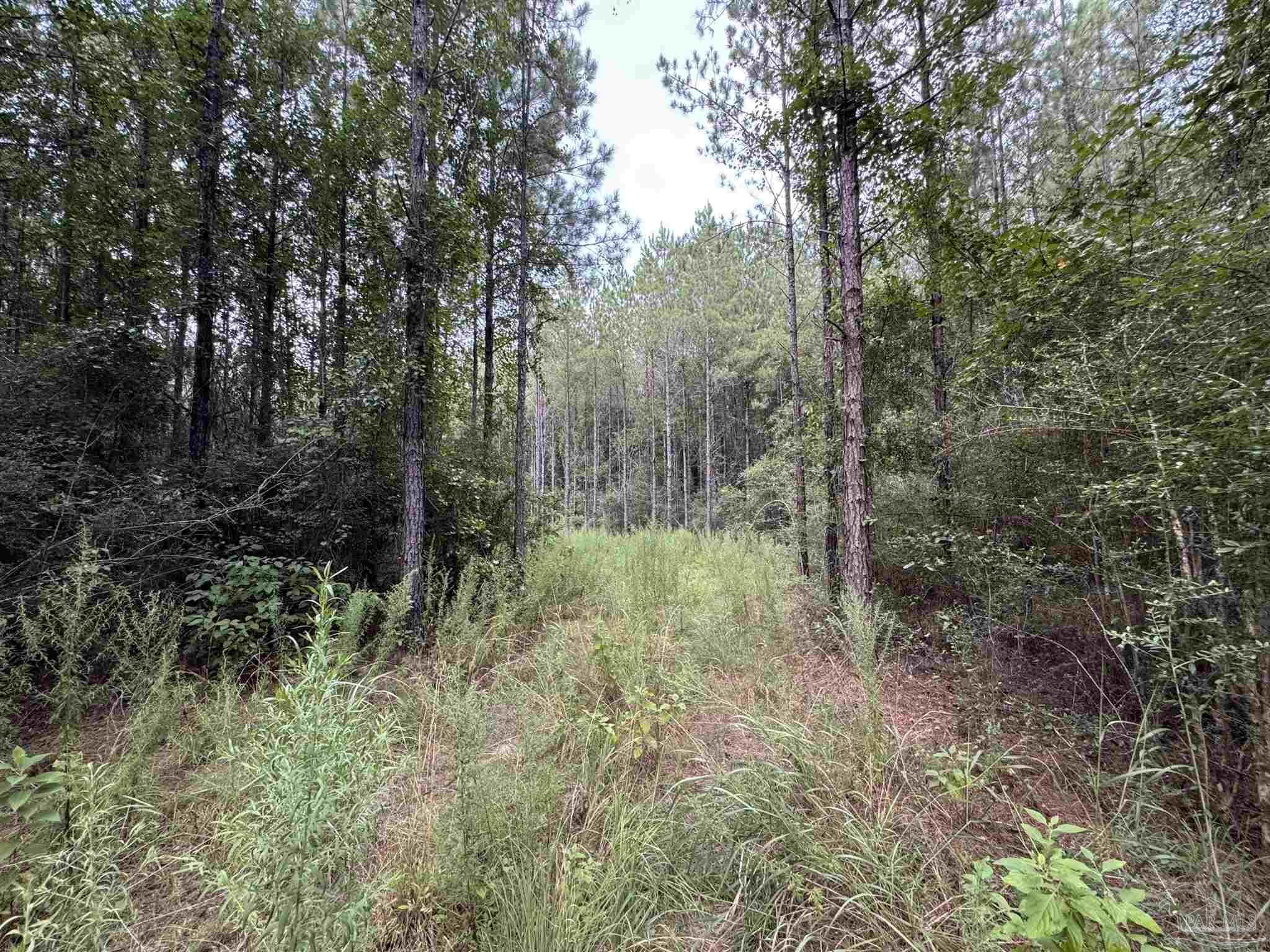 Property Photo: 000 Indian Ford Rd FL 32570