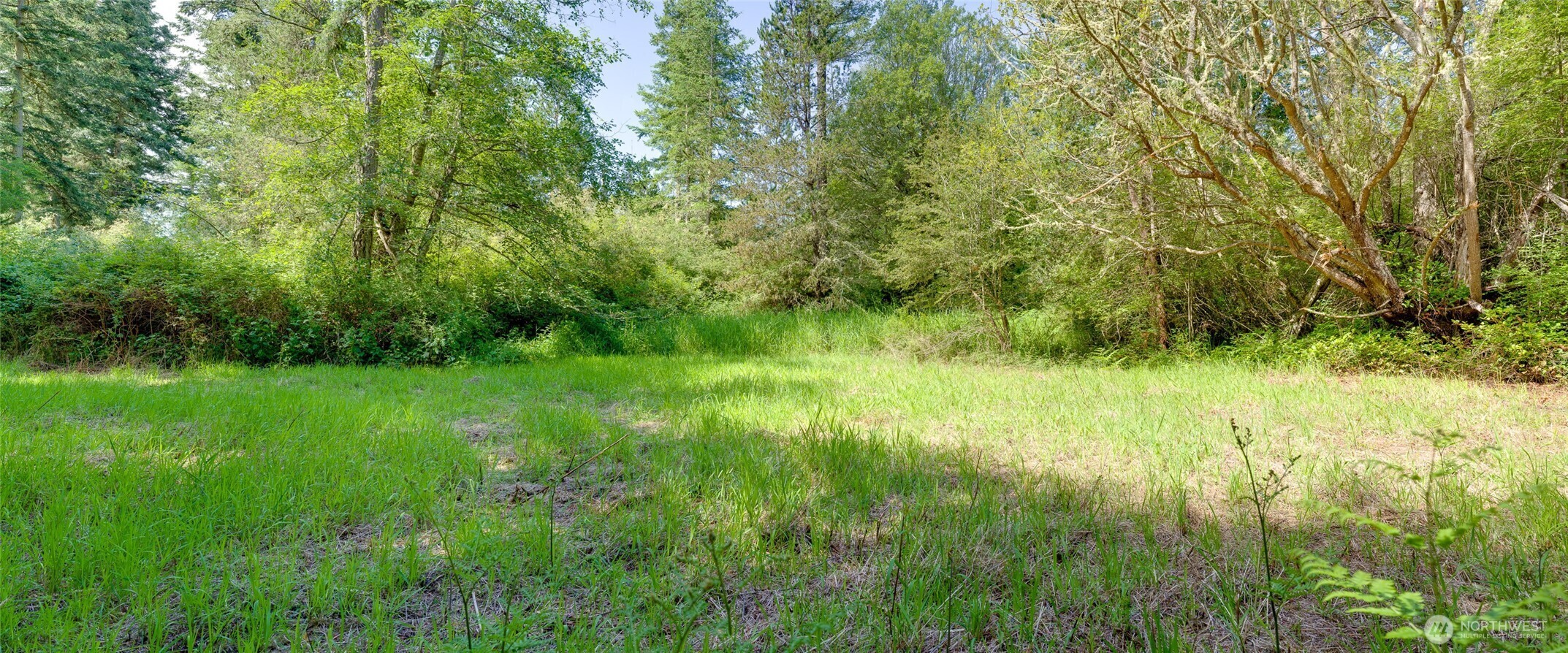 1486  Center Road  Lopez Island WA 98261 photo