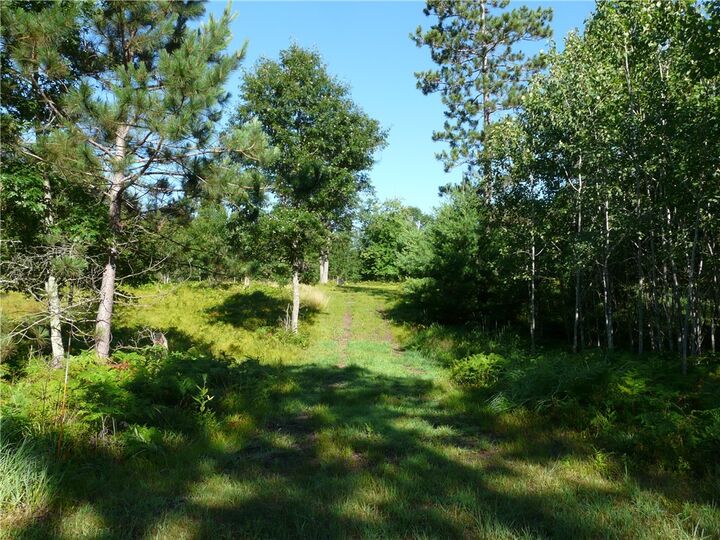 Property Photo: Tbd Treasure Island Drive WI 54830