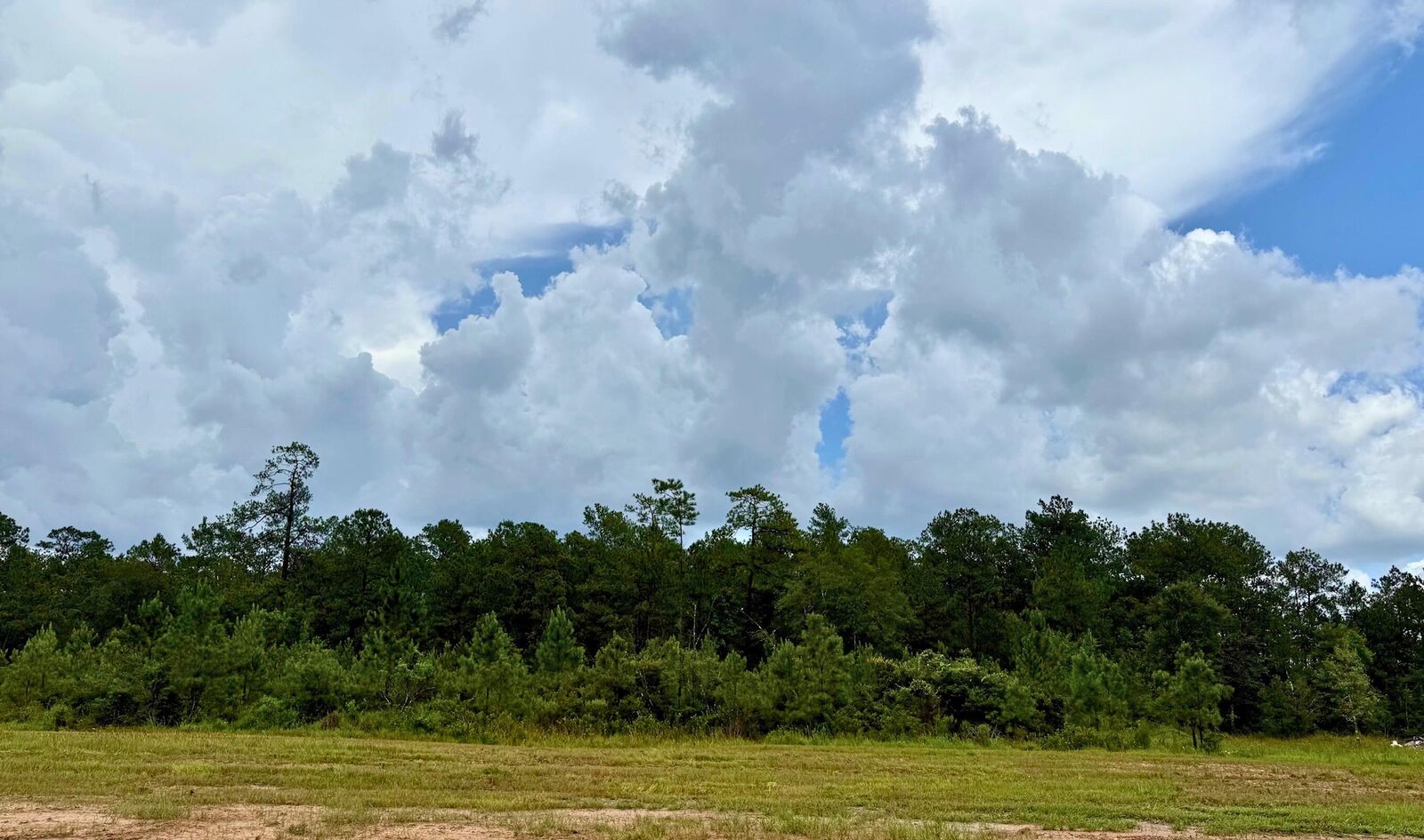 Property Photo: 13160 Blackberry Dr TX 77657