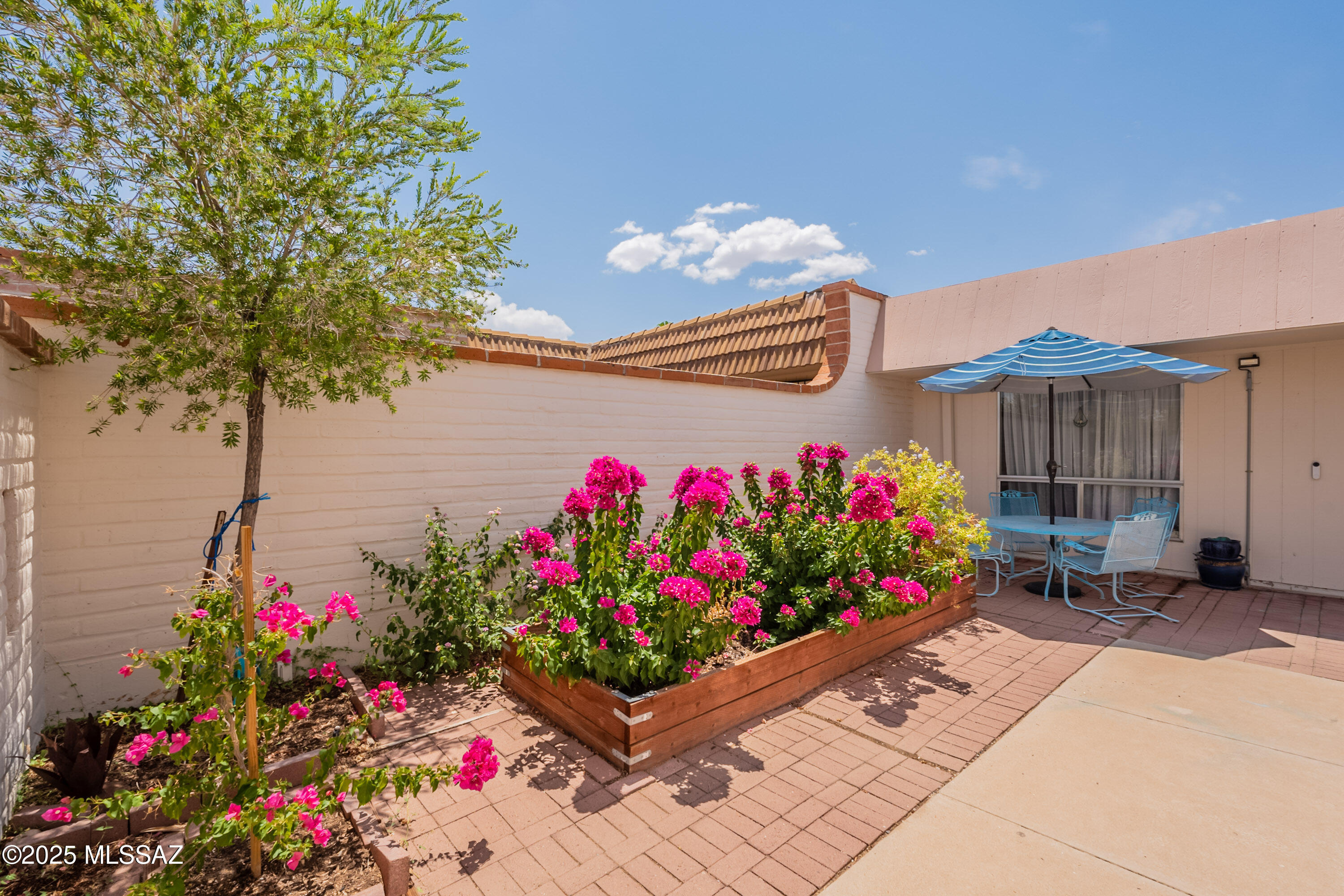 Property Photo: 4243 N Limberlost Circle AZ 85705