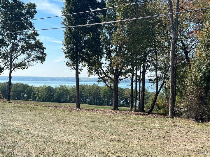 Property Photo:  3625 State Route 90 Lot 4 & 4A&B  NY 13026
