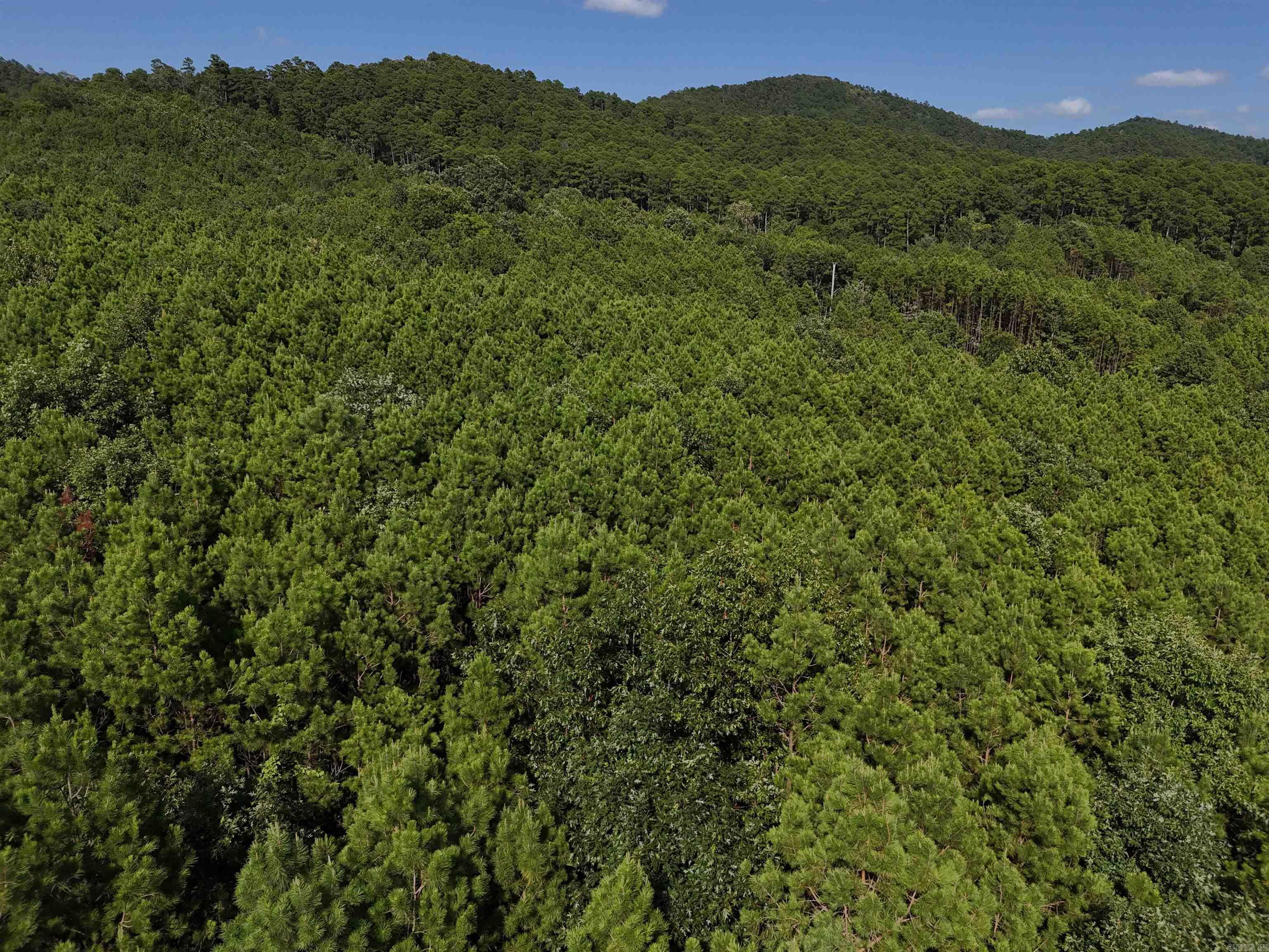 Property Photo:  Lot 14 Polk Road 78  AR 71953 