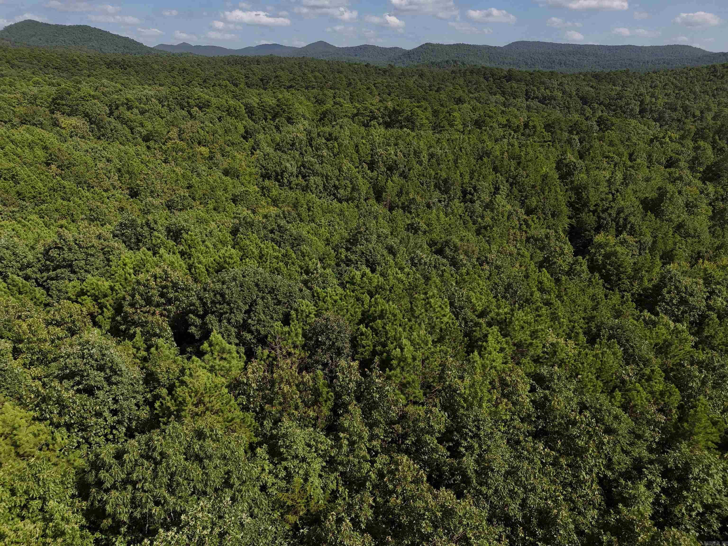 Property Photo:  Lot 7 Polk Road 78  AR 71953 