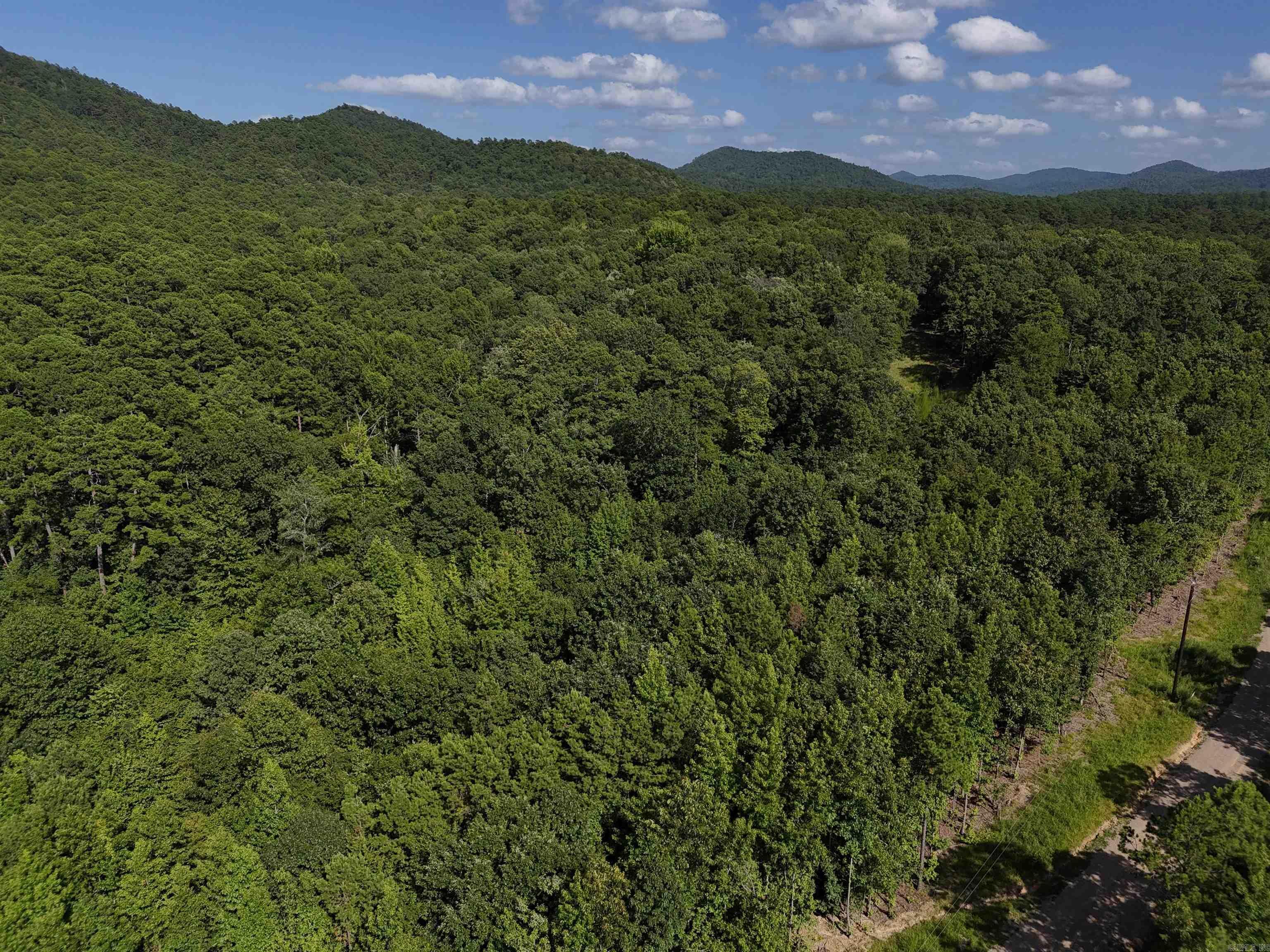 Property Photo:  Lot 13 Polk Road 78  AR 71953 