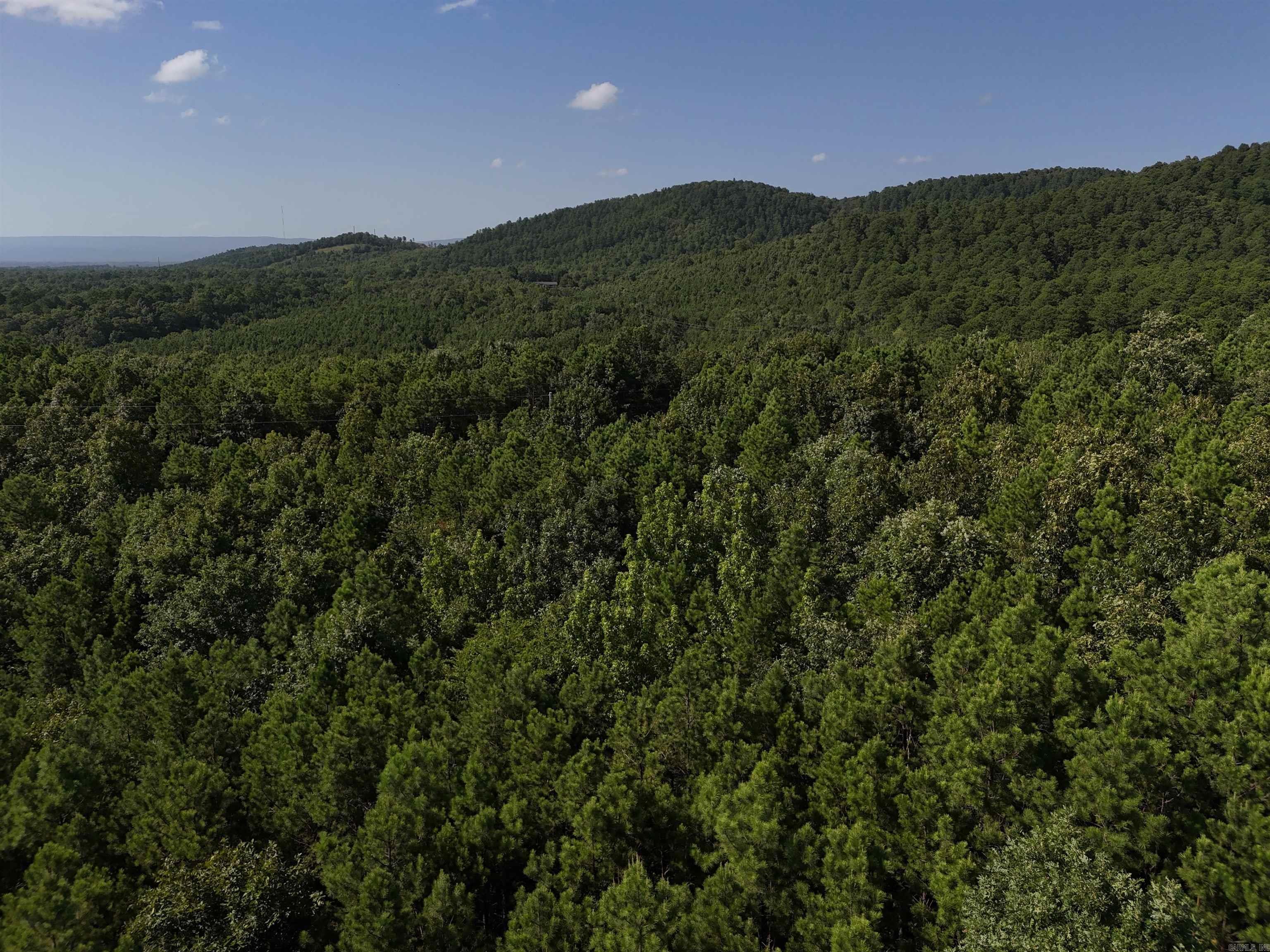 Property Photo:  Lot 8 Polk Road 78  AR 71953 