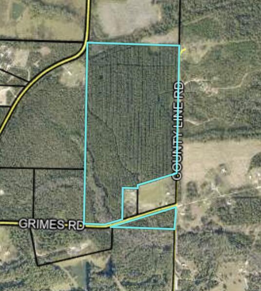 72 Acres Grimes Road  Laurel Hill FL 32567 photo
