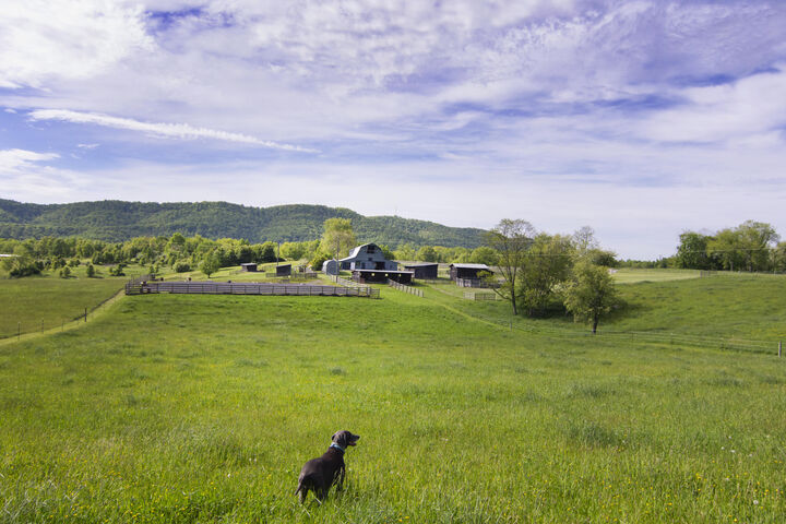 Property Photo:  241 Kestrel Corner Ln  WV 24901 