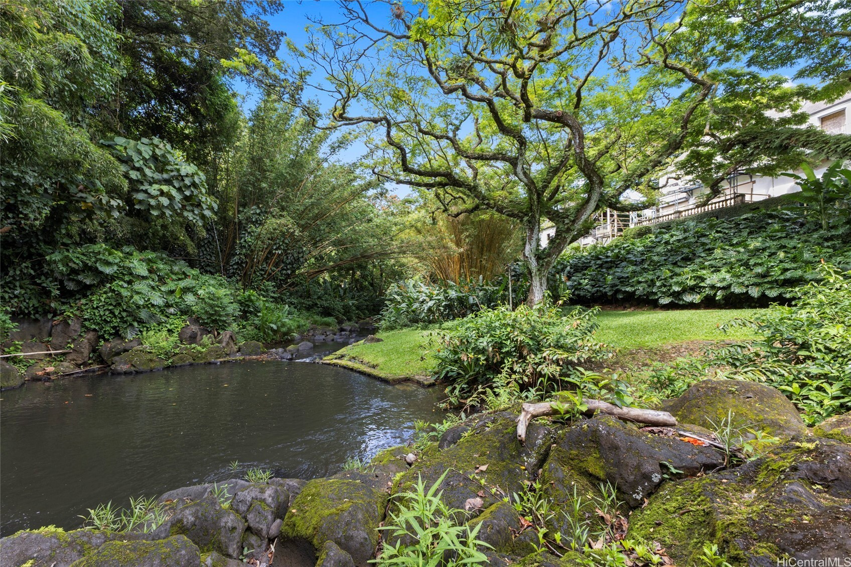 187 Dowsett Avenue  Honolulu HI 96817 photo