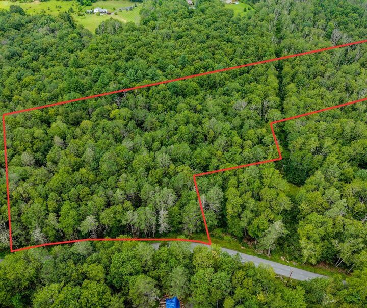 Leins Road  Woodbourne NY 12733 photo