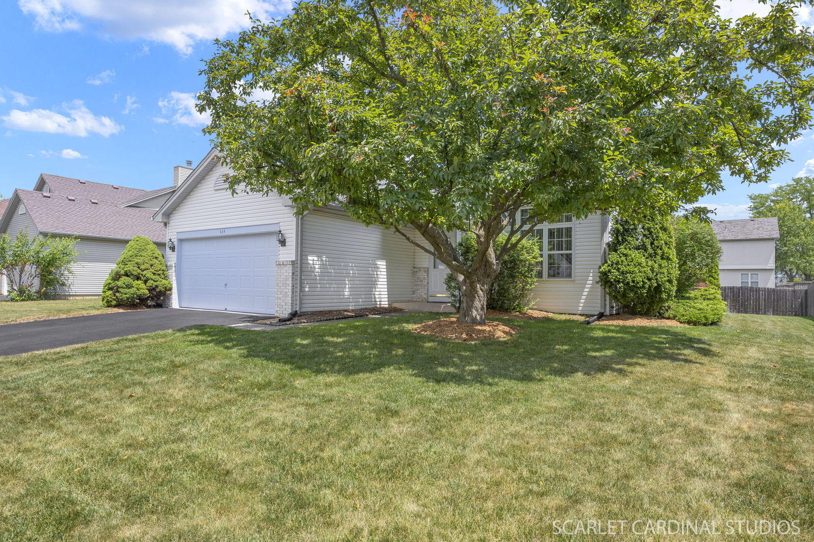 Property Photo:  664 Birchwood Drive  IL 60490 