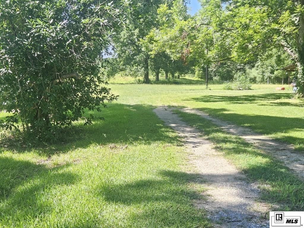 Property Photo:  389 McManus Road  LA 71269 