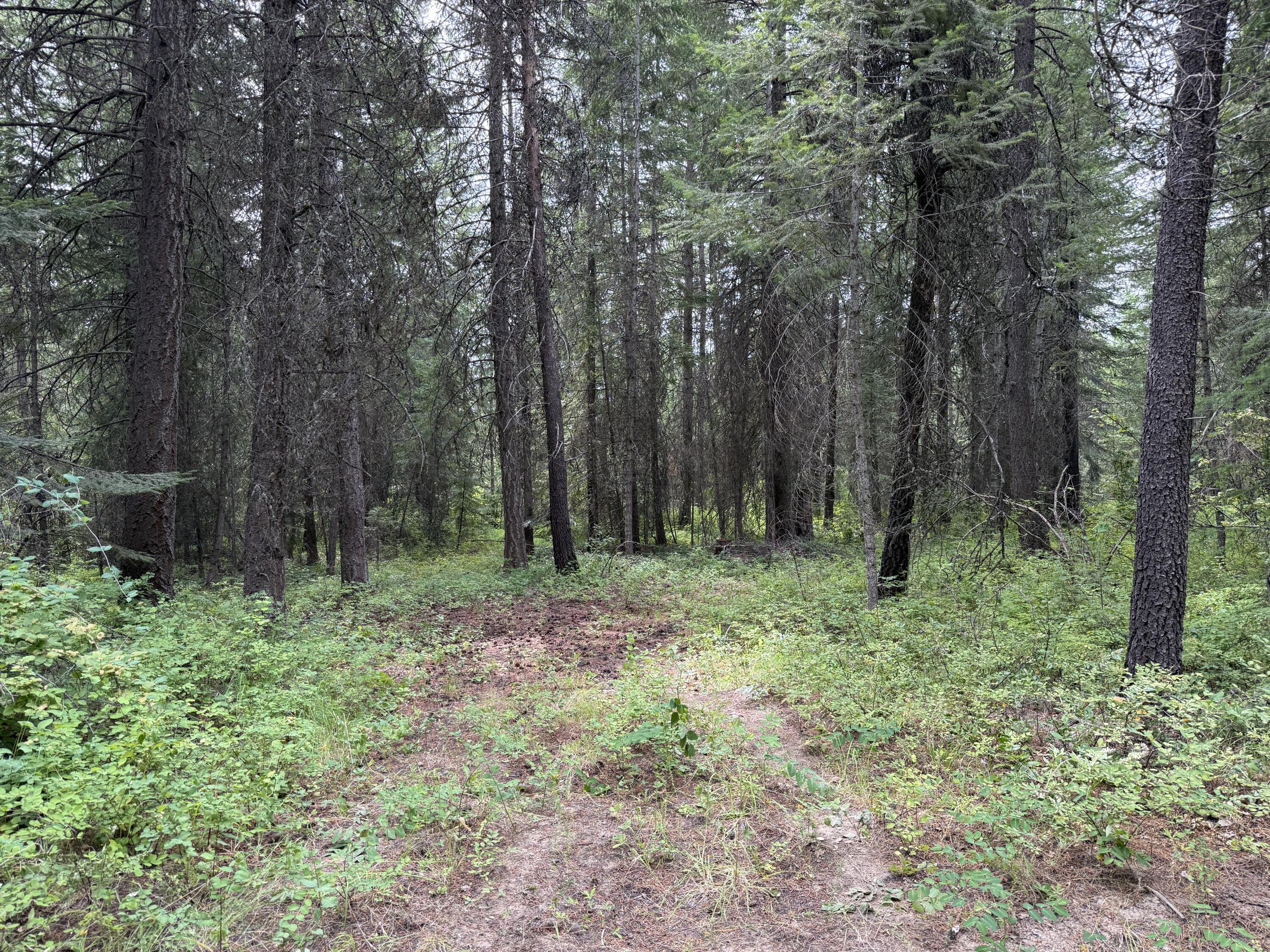 Property Photo: Lot 2 Springdale-Hunters Rd WA 99173