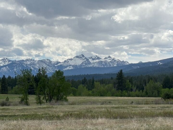Property Photo:  257 N Gold Creek Loop  MT 59840 
