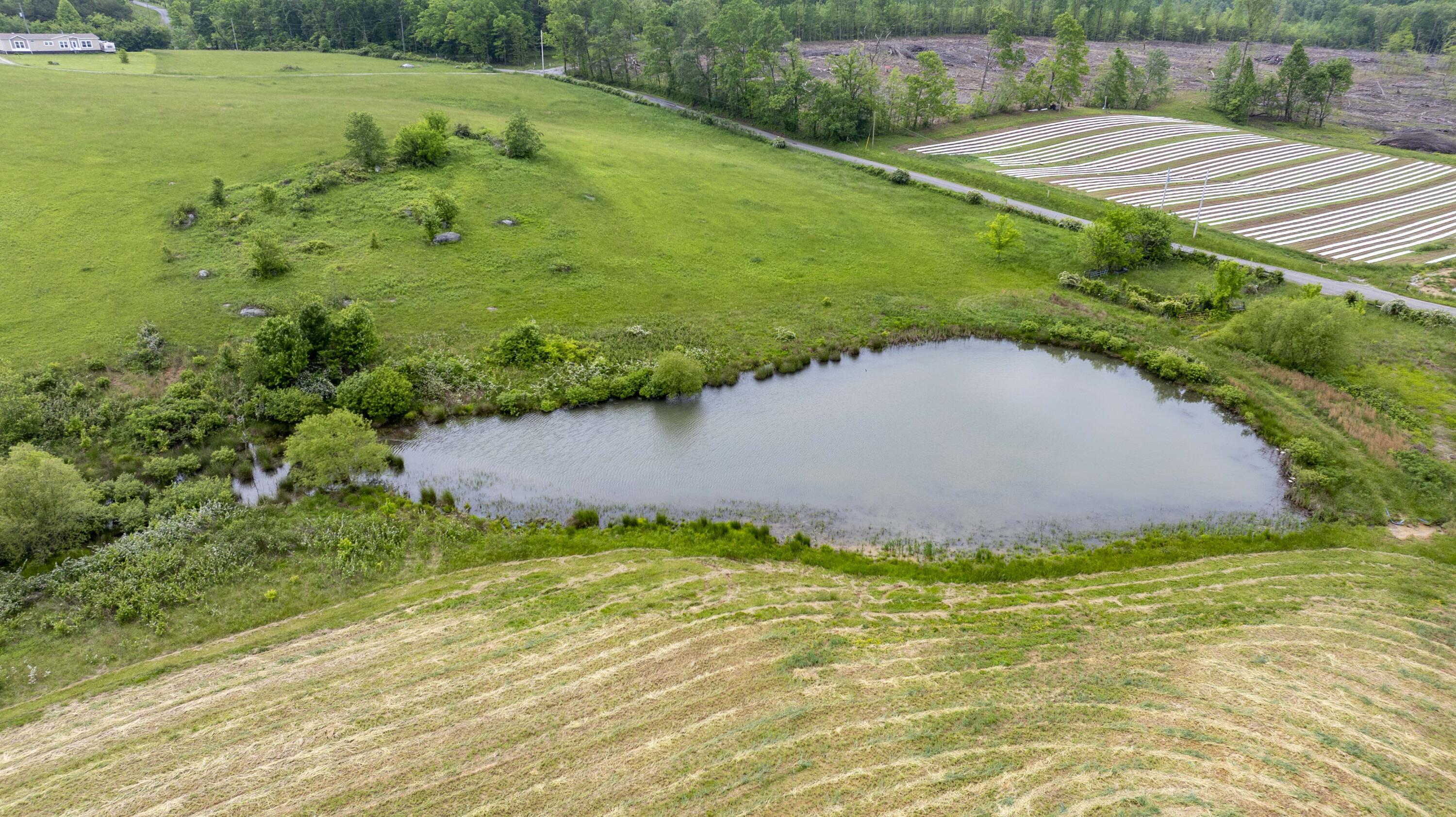 Property Photo:  000 Walkertown Road  TN 37367 