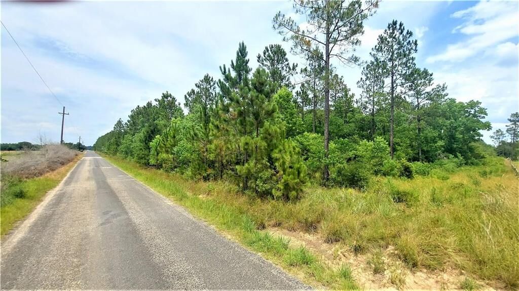 Property Photo:  Adron Woodard Road  LA 70634 