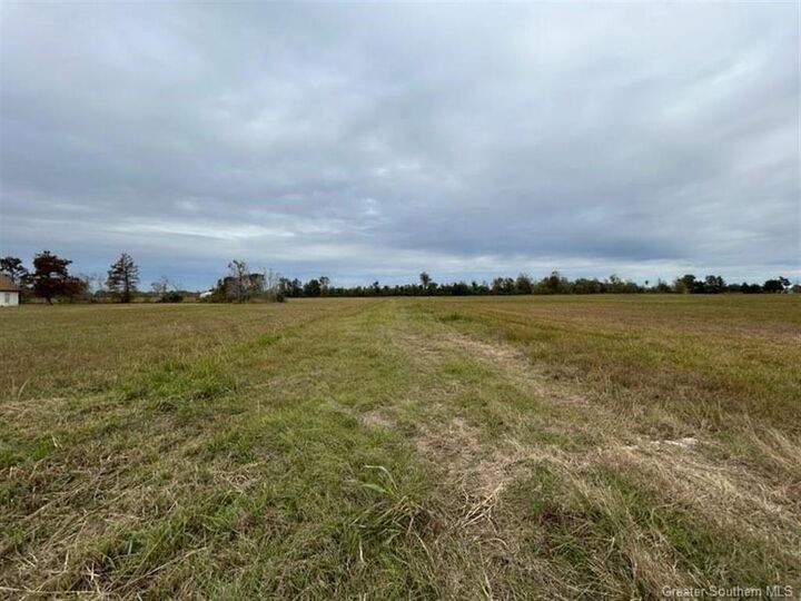 Property Photo: 0 E Gauthier Road E LA 70607