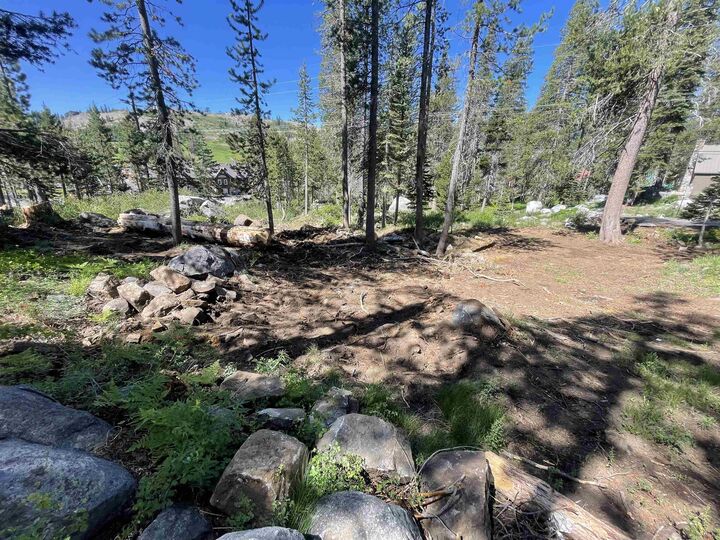 10053 Hill Road  Soda Springs CA 95728 photo