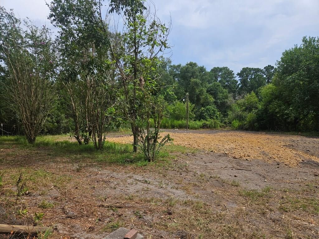 Property Photo:  1569 Rountree Bridge Rd  GA 31647 