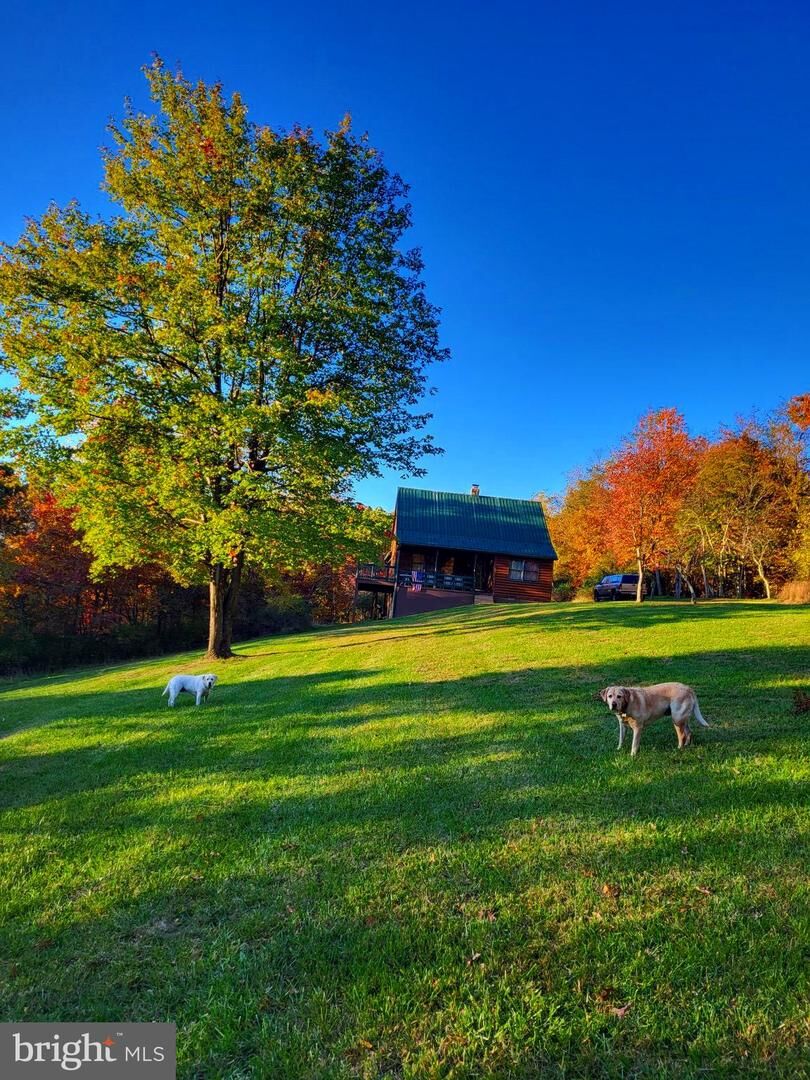 Property Photo: 313 Wright Ridge WV 26755