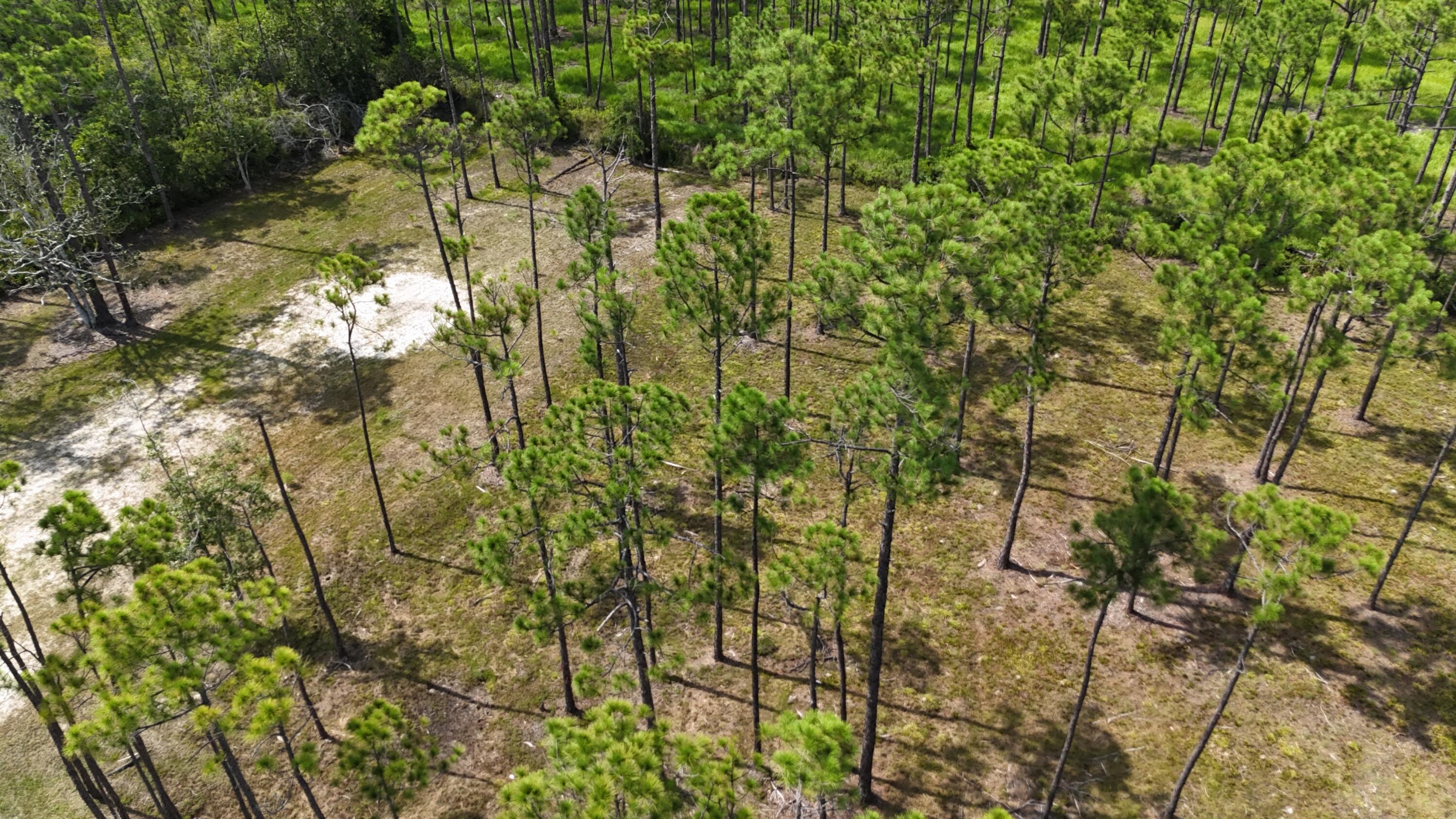 Property Photo:  Lot 4 Foxmire Farm Rd  FL 32459 