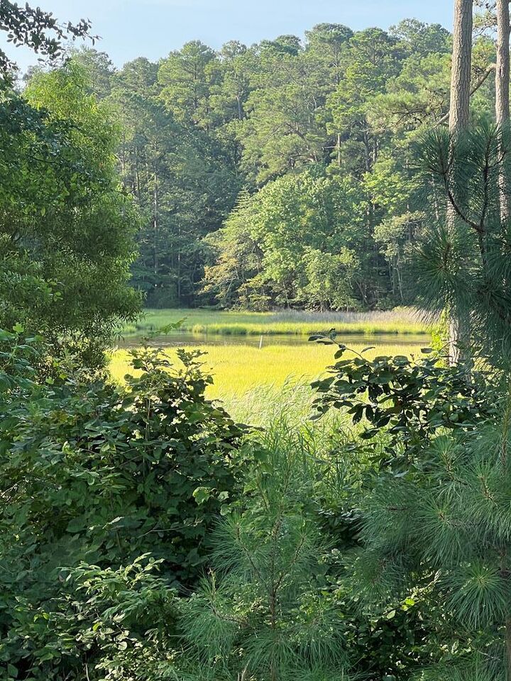 Lot 75 Olde Mill Lane  New Church VA 23415 photo