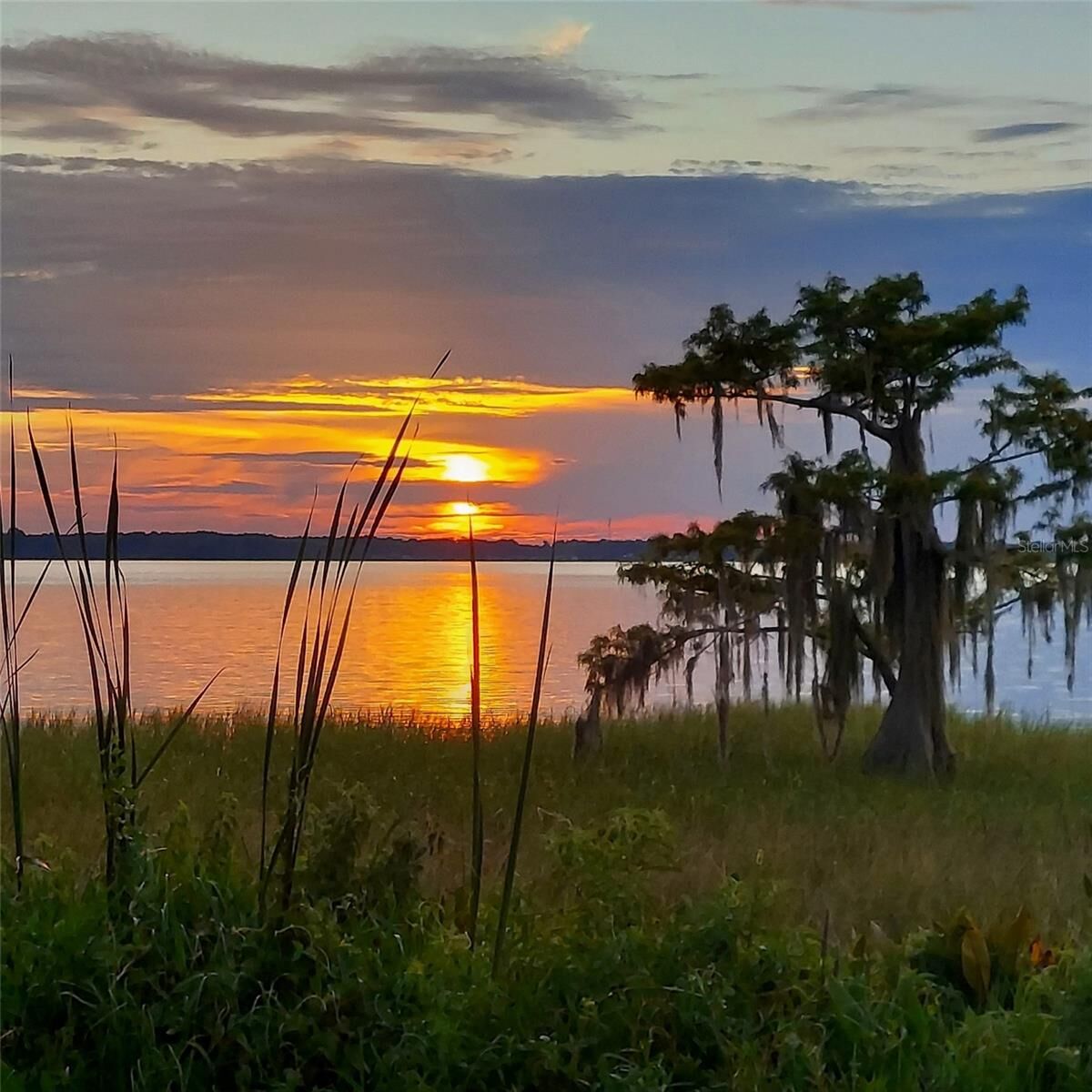 Property Photo: 2212 Cypress Cove Drive H5 FL 32778