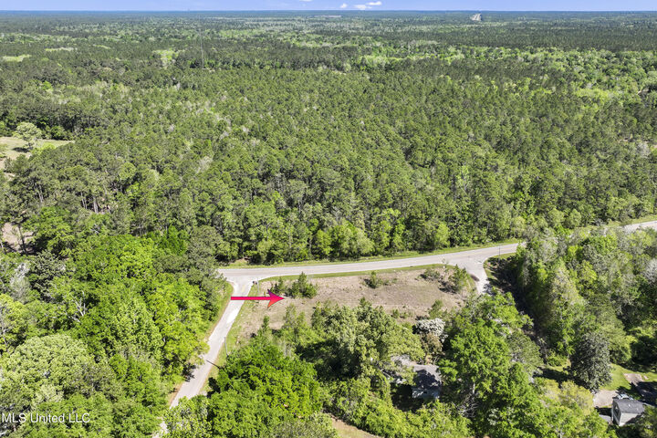 Property Photo:  Three Rivers Rd  MS 39503 