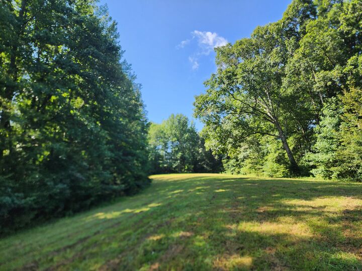 8220 Suckstem Branch Rd  Lawrenceburg TN 38464 photo