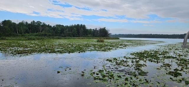 Property Photo:  Xxxx Forthun Road  MN 56425 