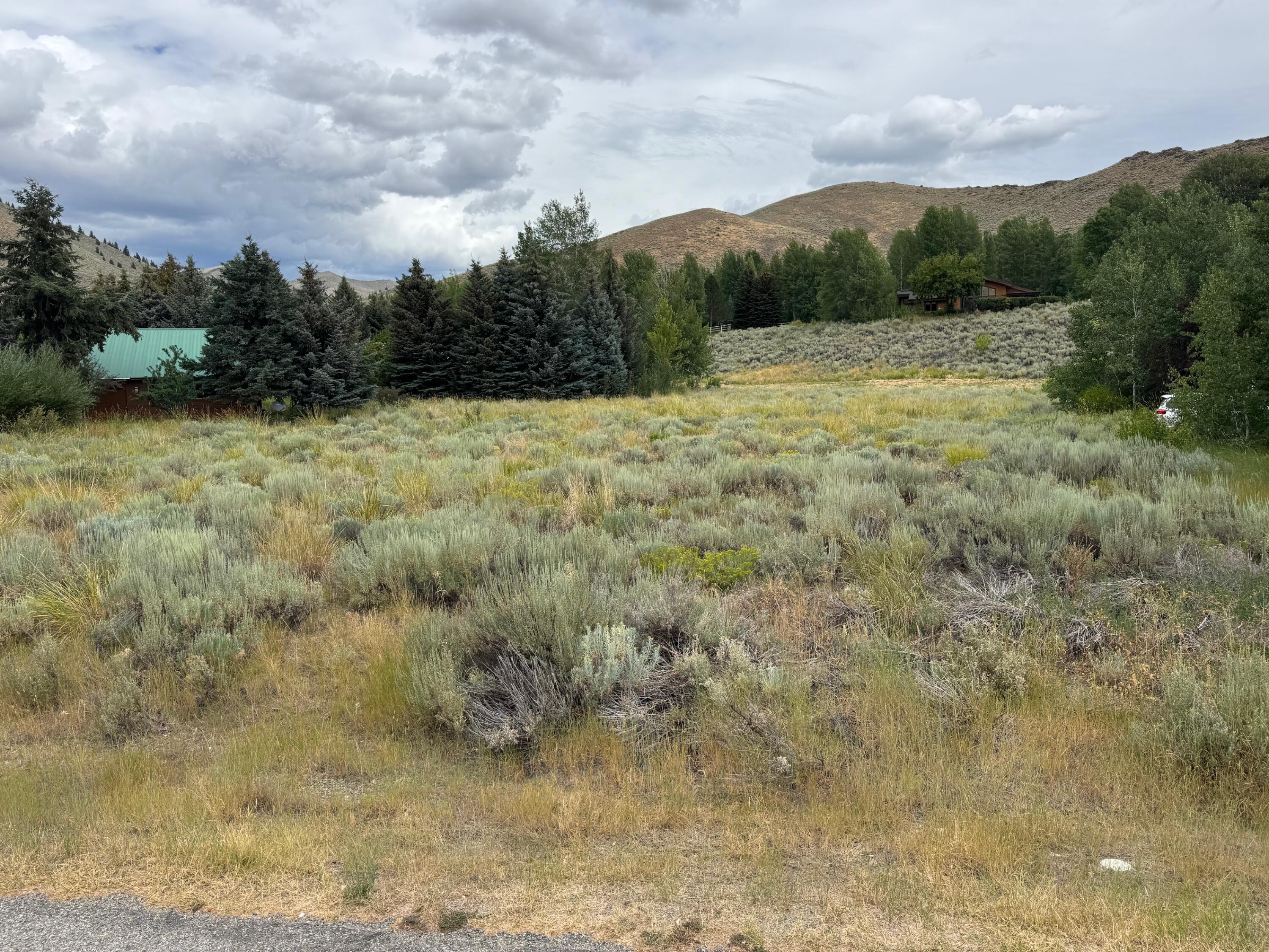 Property Photo:  246 Mariposa Rd  ID 83333 