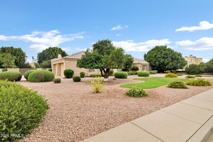 Property Photo: 3819 E Ivyglen Street AZ 85205