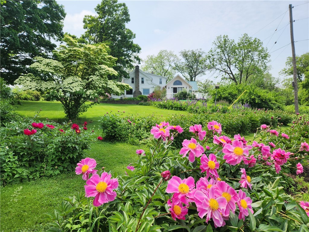 Property Photo: 226 Hines Road NY 14867