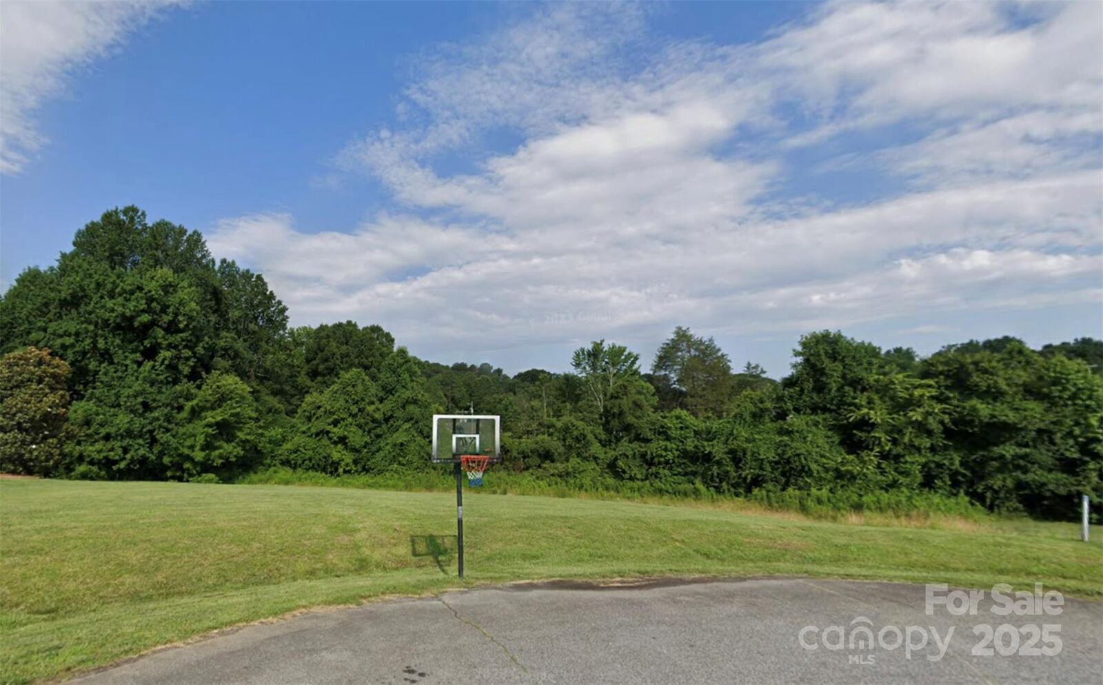 Property Photo: 310 Belmont Place NC 28138