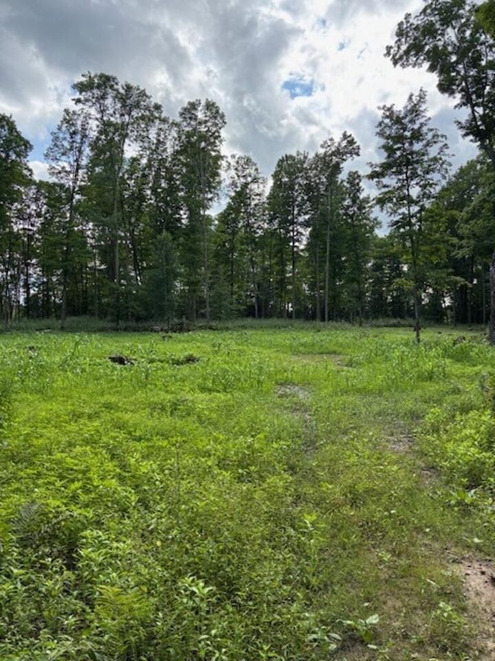 Property Photo:  80 Acres North Branch Road  WI 54499 