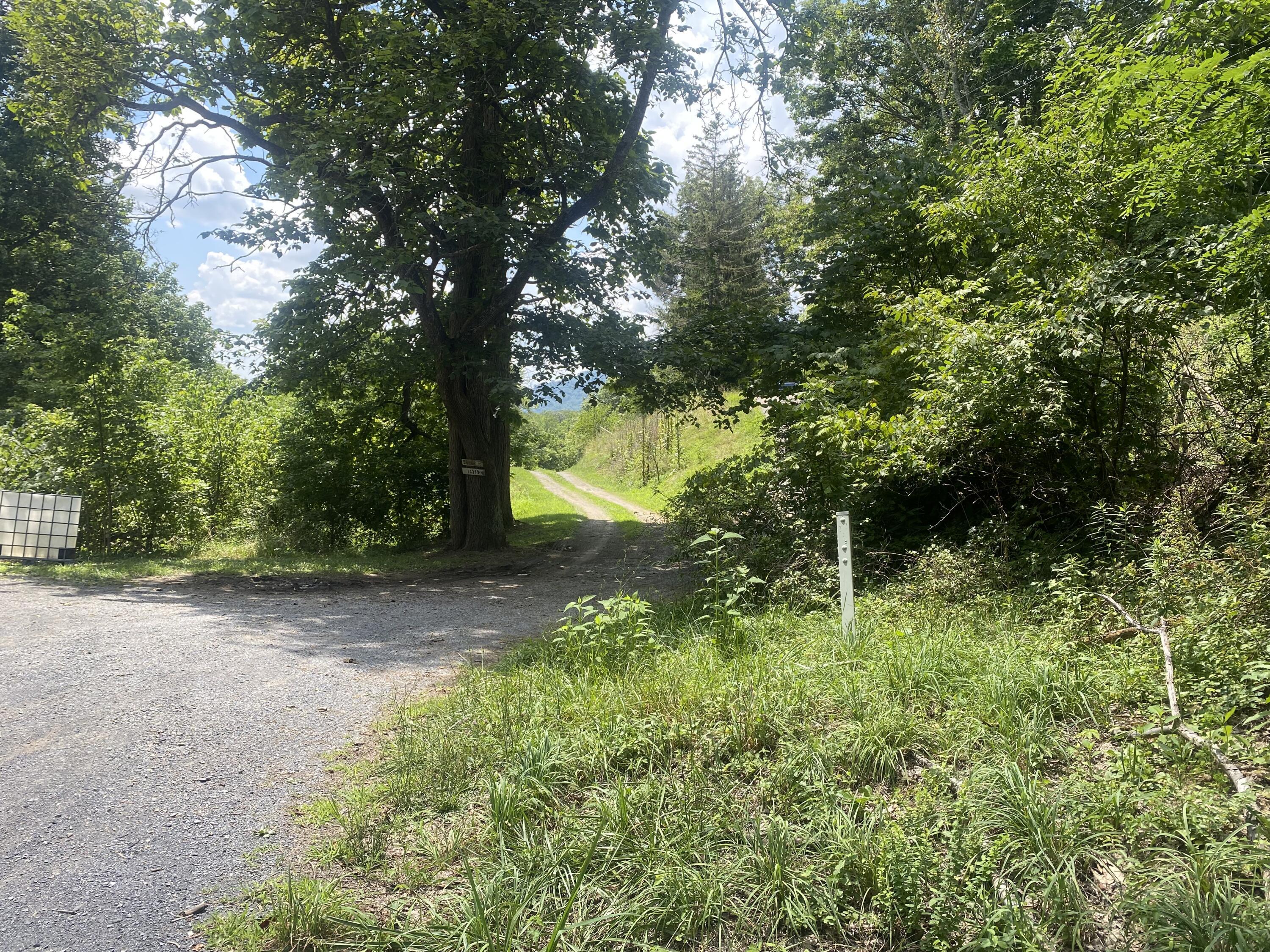 Property Photo:  13345 Wolf Creek Rd  WV 24910 