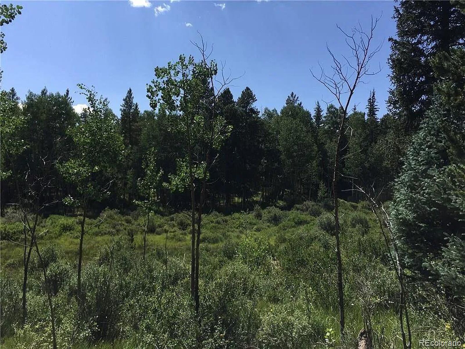Property Photo:  