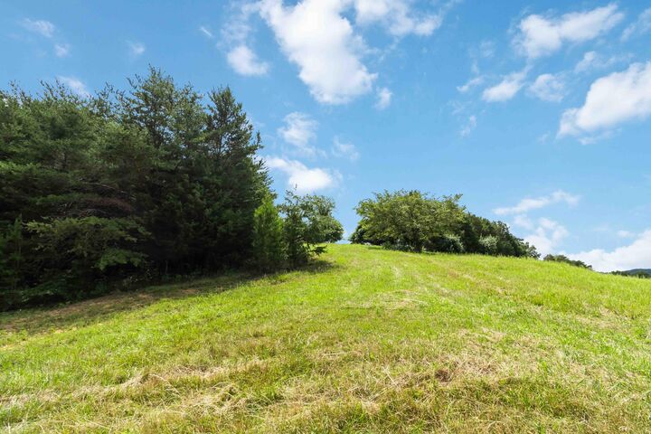 Property Photo:  1245 Bridge Hollow Road  KY 42503 