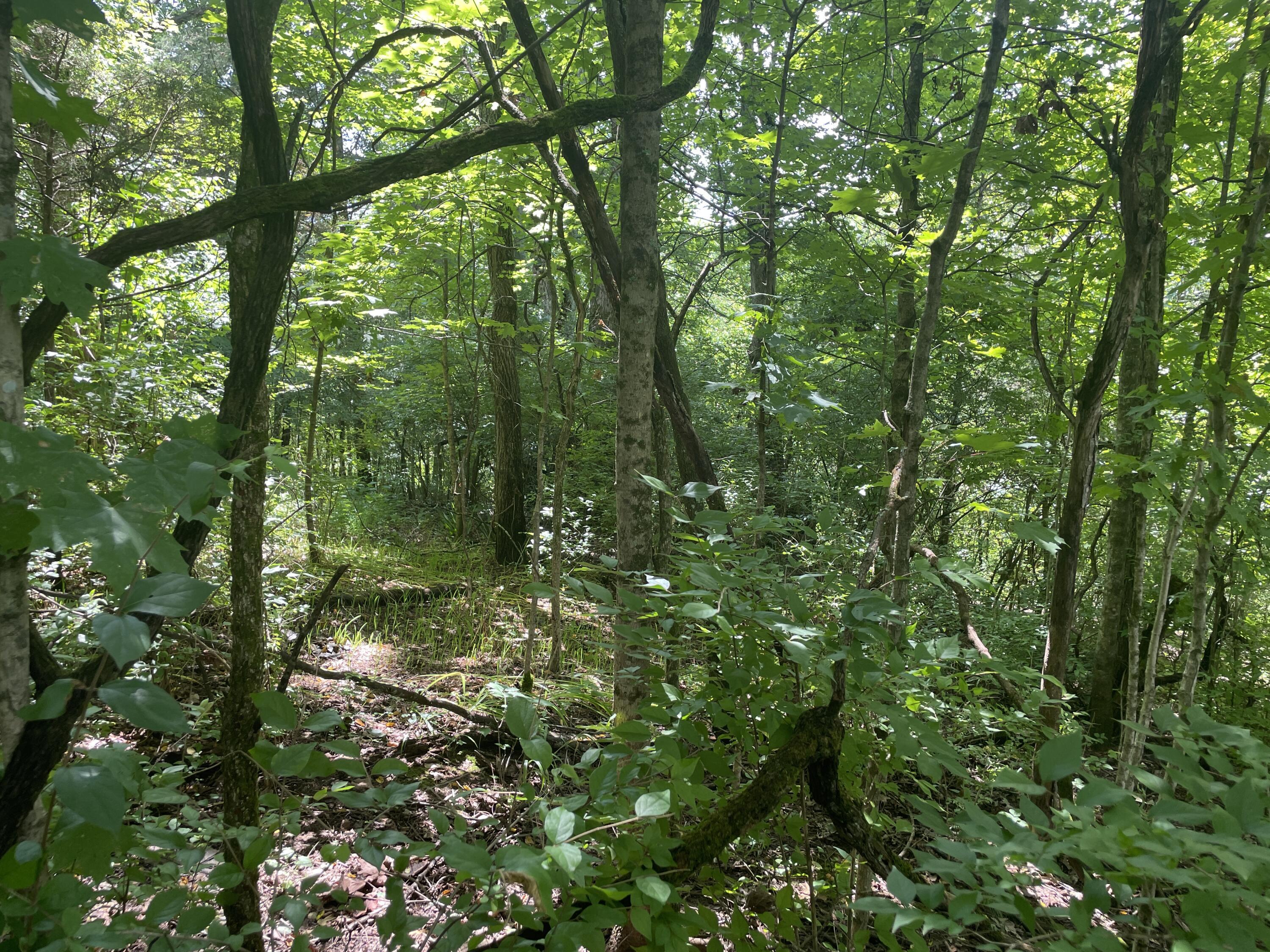 Property Photo: 2750 Shadrick Ferry Road KY 40601